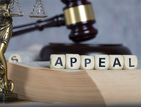 Gavel, legal book, and blocks spelling 'APPEAL' with scales of justice