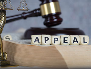 Gavel, legal book, and blocks spelling 'APPEAL' with scales of justice